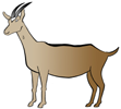 Une chevrette