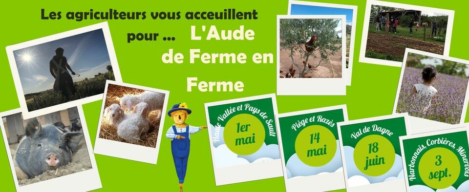 Bandeau DFF aude 2023