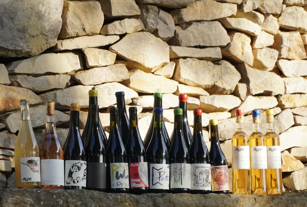 vins