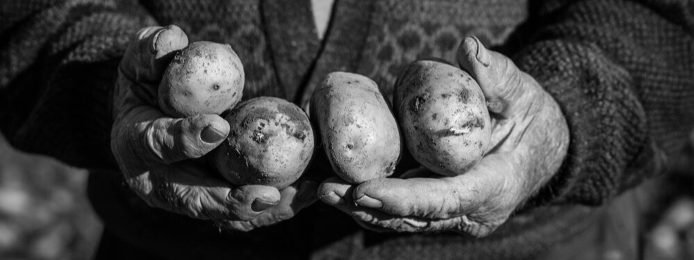 pommes de terre Sault de pomme