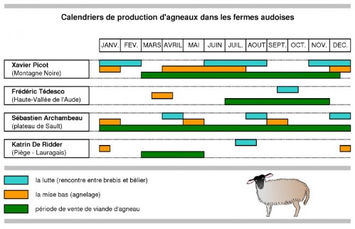 calendrier de production des agneaux