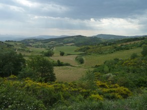 paysage P L R 2016
