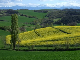 Paysage de la Piège au printemps !
